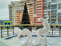 Новый год в Иркутске. Фотография №1